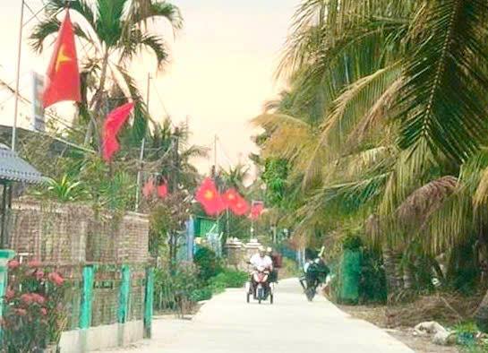 anh tin bai